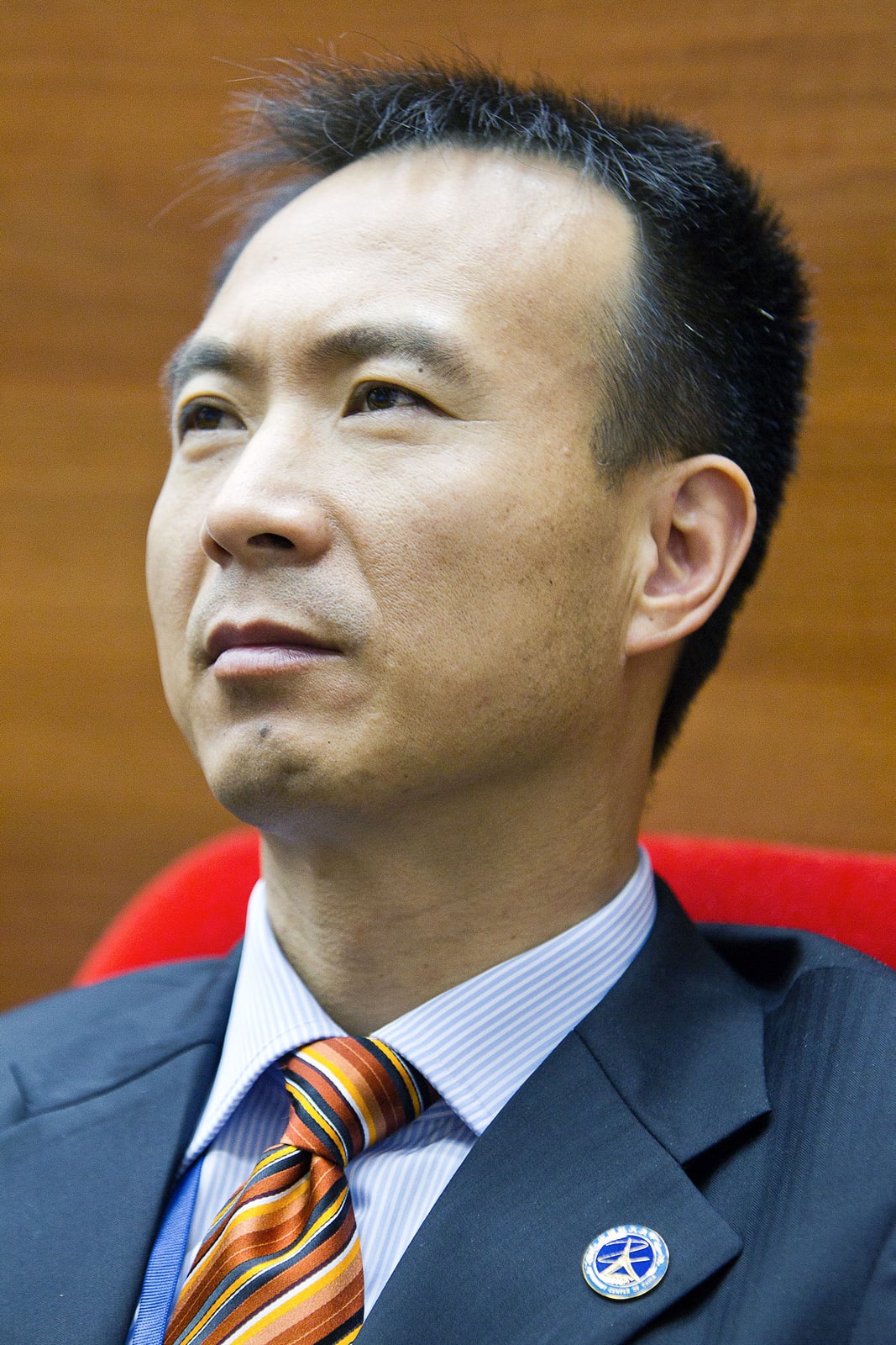 Portrait of Fei Junlong