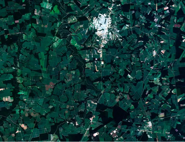 Processed satellite image of Sinop showing a bright urban area among angular fields, dark vegetation and winding waterways
