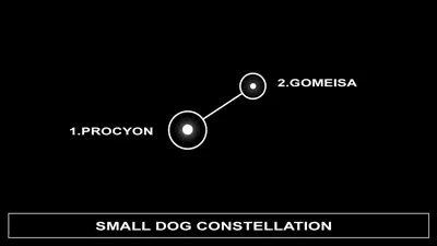 Black-background schematic labels Procyon and Gomeisa in the Small Dog constellation