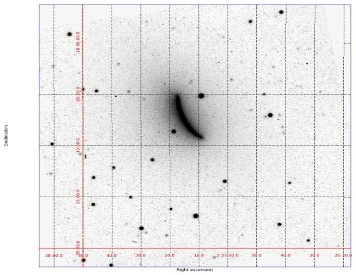 Inverted sky image with stars, coordinate grid and a dark curved trace of comet Wirtanen