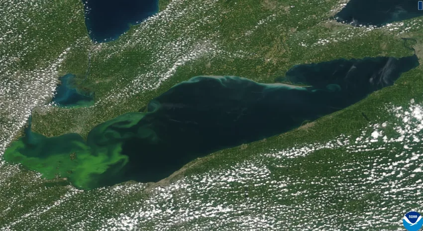 Green swirls concentrate in western Lake Erie, surrounded by land and scattered white clouds