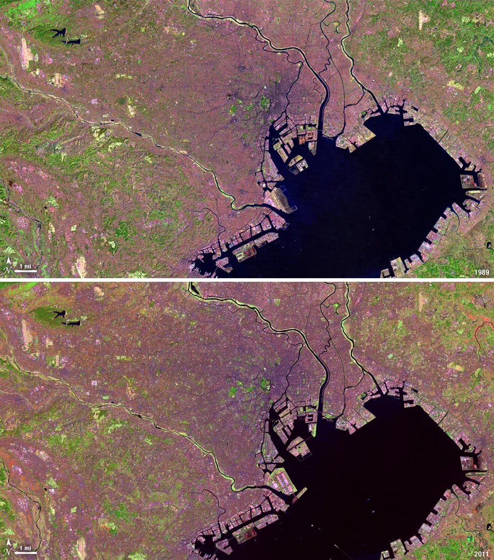 Two false-color views of Tokyo Bay show contrasting urban and vegetated patterns