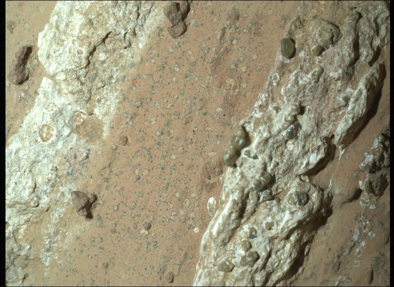 Small pale patches with dark margins appear in a reddish rock band between broad white mineral veins.