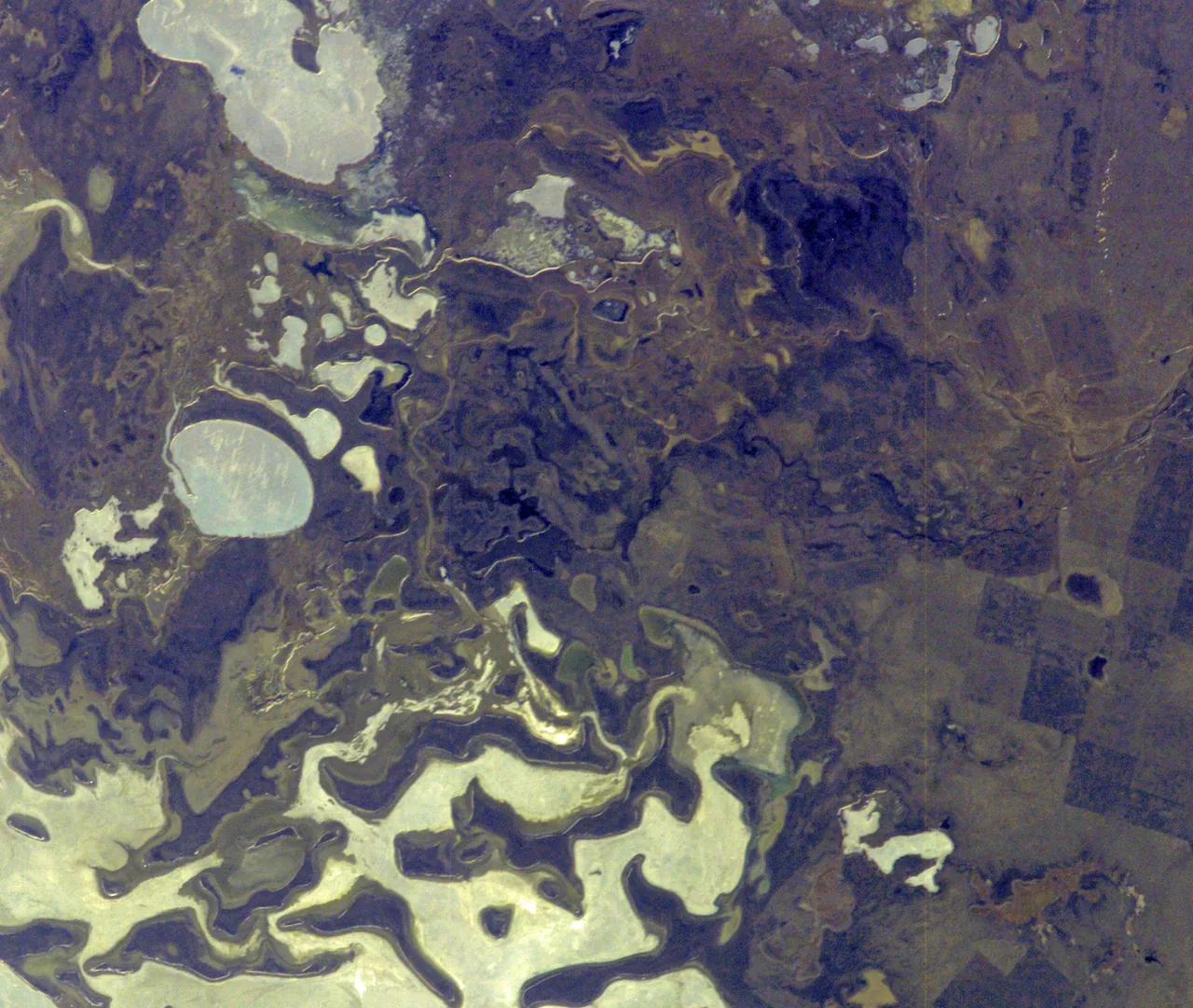 Branching channels and dark wetlands meet pale water around the Nura River mouth at Lake Tengiz