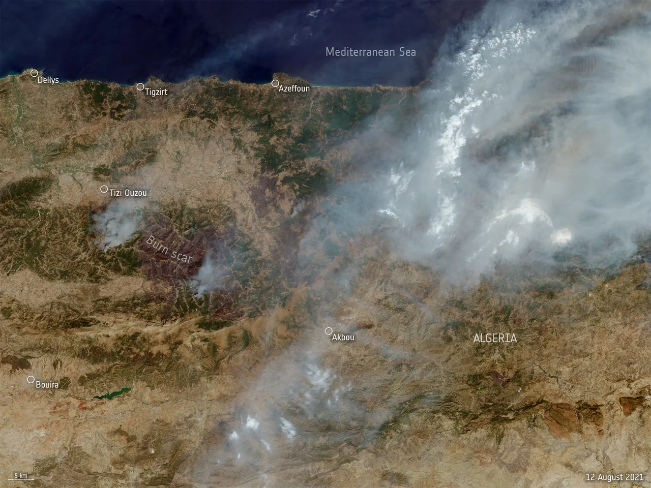 Smoke covers parts of northern Algeria in a labelled satellite view showing Tizi Ouzou, a burn scar, the coast and a five-kilometre scale bar