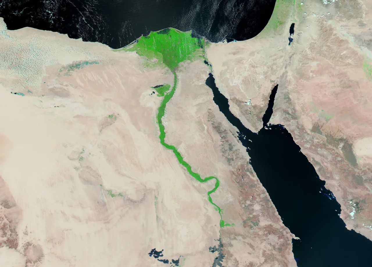 Bright green vegetation follows the narrow Nile corridor into its broad delta, surrounded by pale desert and dark blue seas in a MODIS false-colour view
