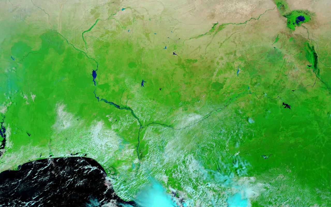 Narrow blue river channels and reservoirs cross green land beneath scattered pale clouds in a satellite view of the Niger and Benue region