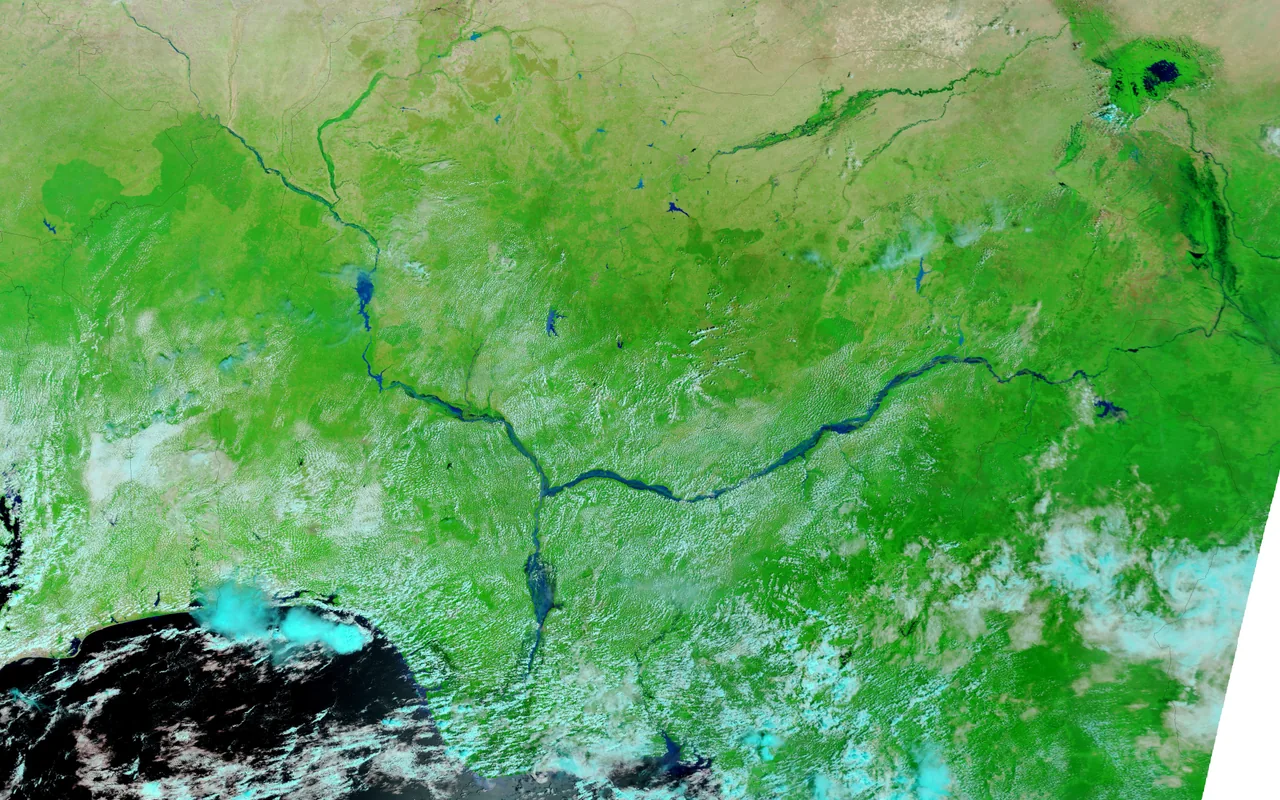 Broad blue flooded channels converge amid green land and pale clouds in a satellite view of the Niger and Benue region