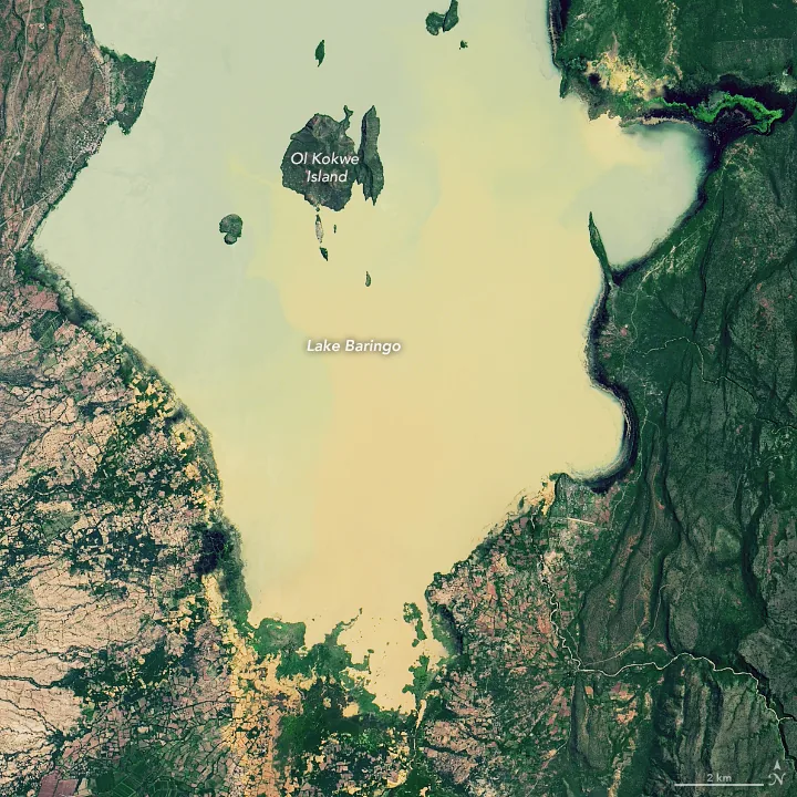 Sediment-colored Lake Baringo surrounds labeled Ol Kokwe Island, with green and brown shores, a north arrow and two-kilometre scale bar