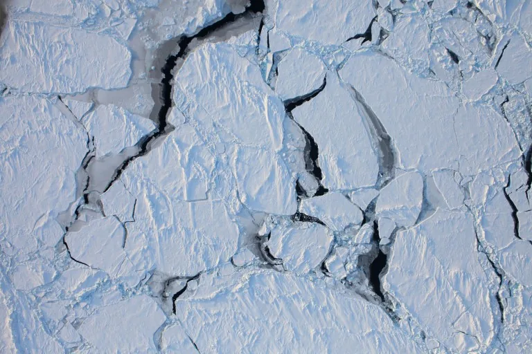 Angular sea-ice floes separated by dark cracks and narrow openings, photographed from above.