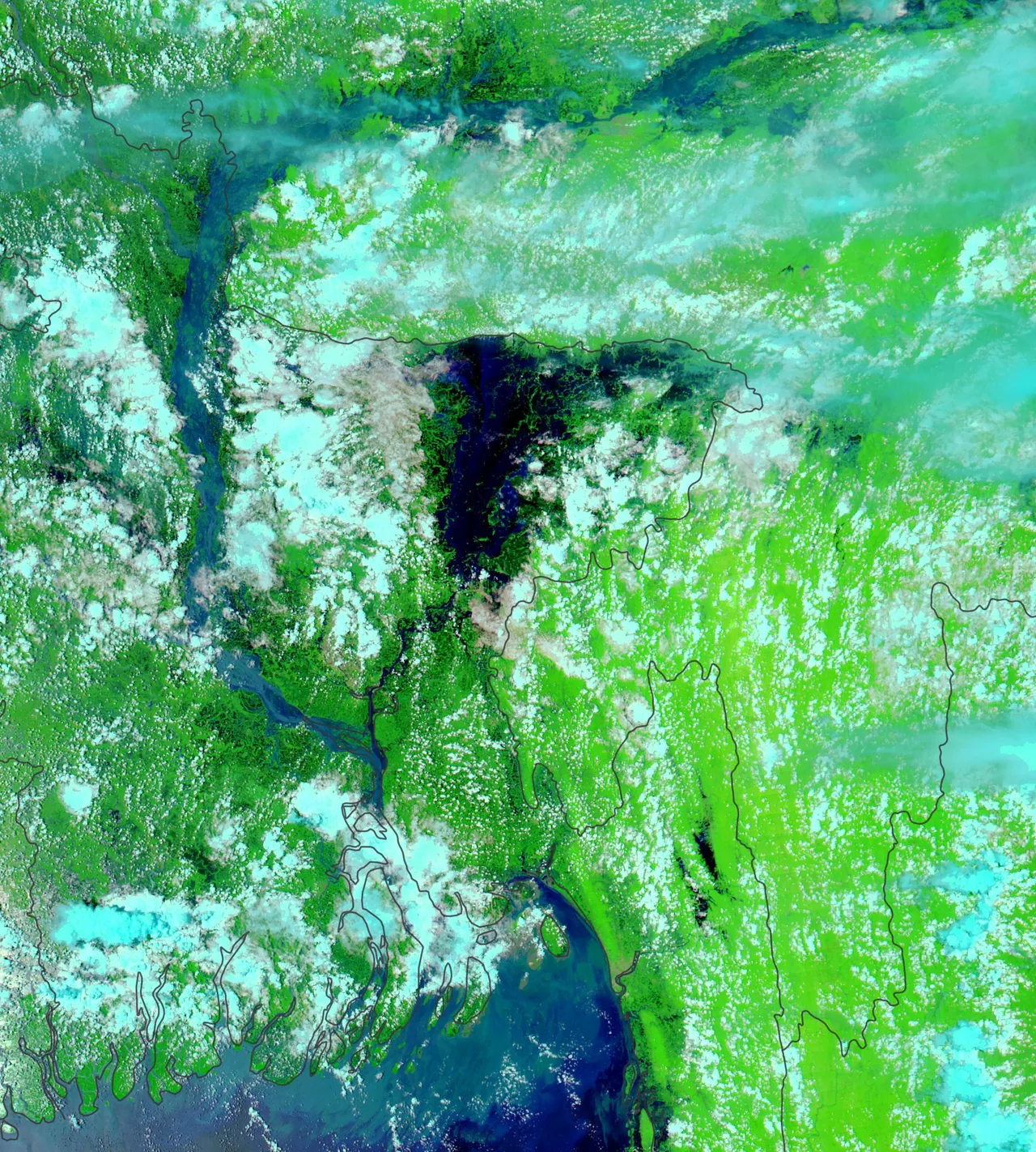 False-color satellite view of Bangladesh and surrounding areas with dark rivers, green land and bright cloud cover on 25 July 2020
