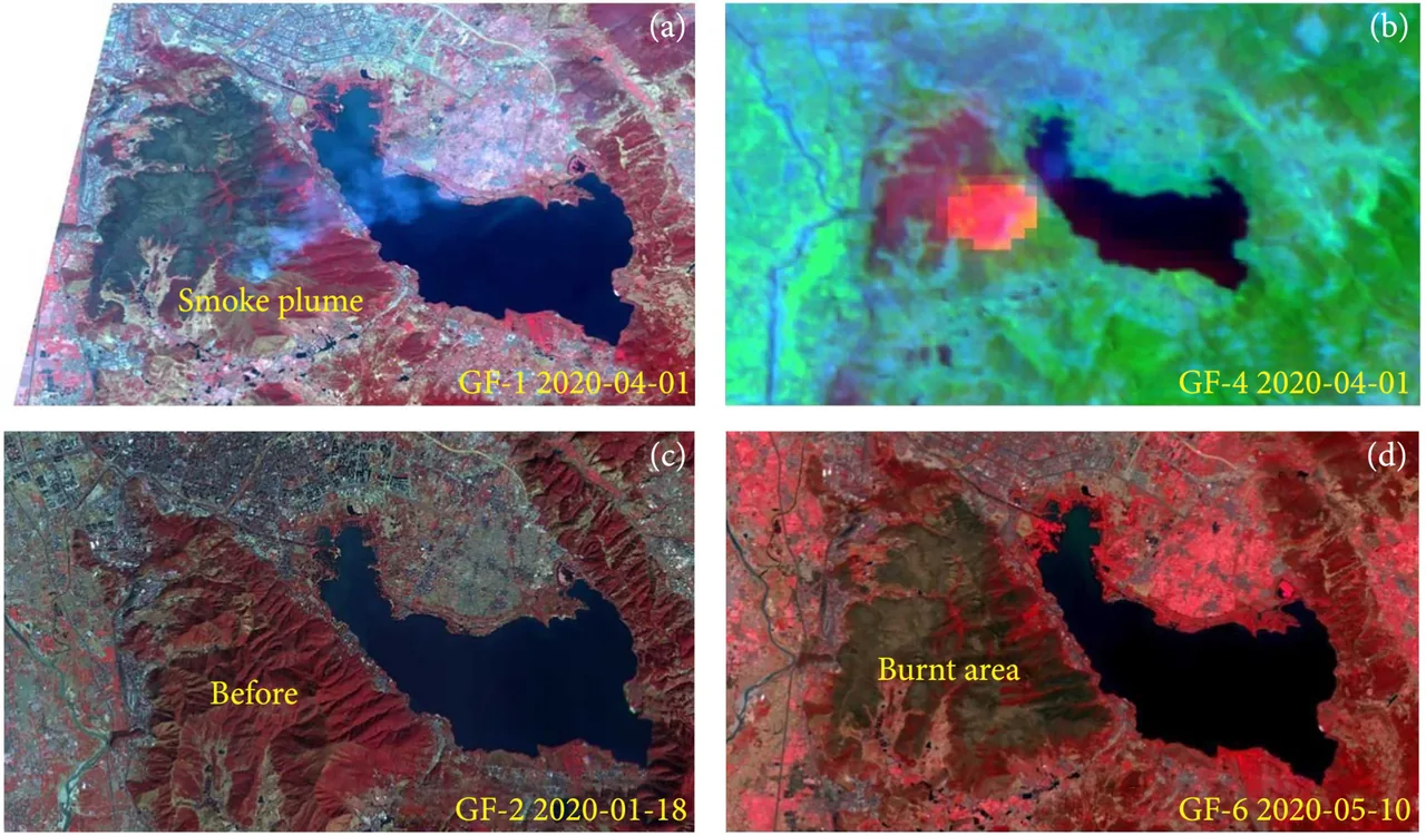 Four false-color satellite panels show a smoke plume, an active-fire region and before-and-after landscape observations around a lake.