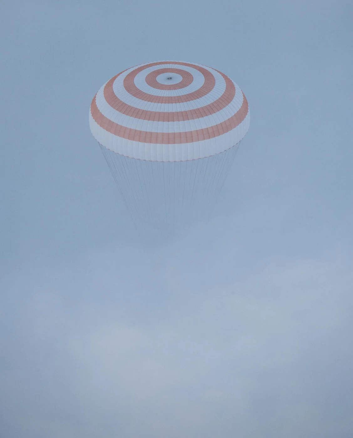 Expedition 42 mission logo