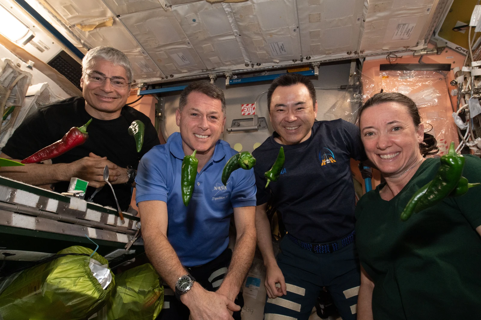 Expedition 66 mission logo