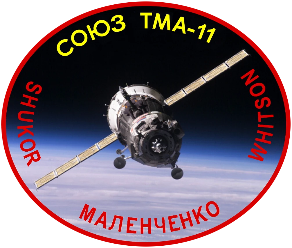 Soyuz TMA-11 mission insignia