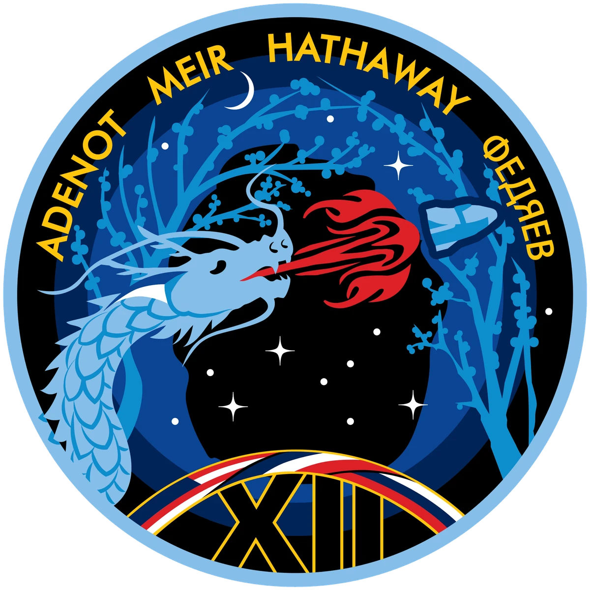 Reviewed mission image for SpaceX Crew-12